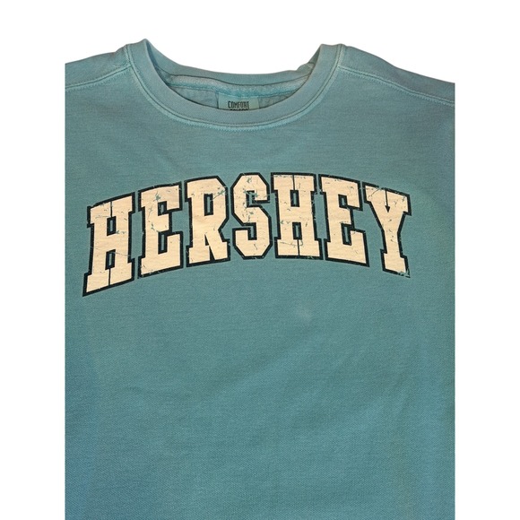 Vtg Comfort Colors Hershey Sweatshirt Small Green Garment Dye Crewneck Pullover - Picture 4 of 8
